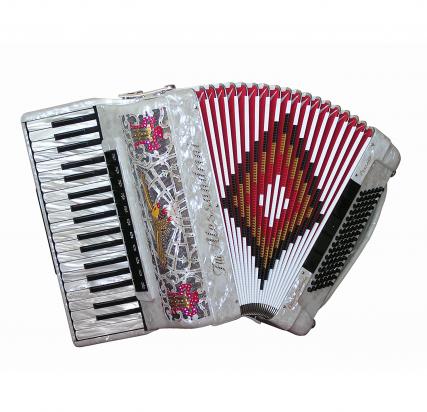 Piano accordion 96 basses Cassotto 2+2  